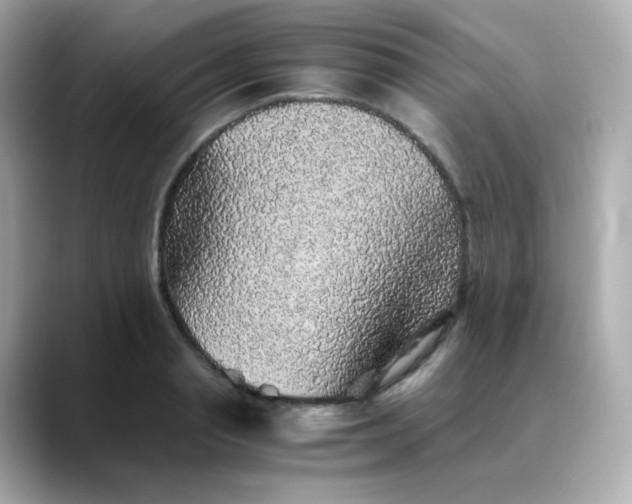 X0000088420845200706051210