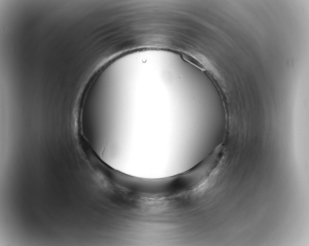 X0000088420846200706051210