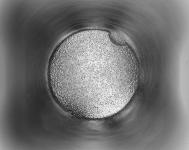 X0000088420847200706051210