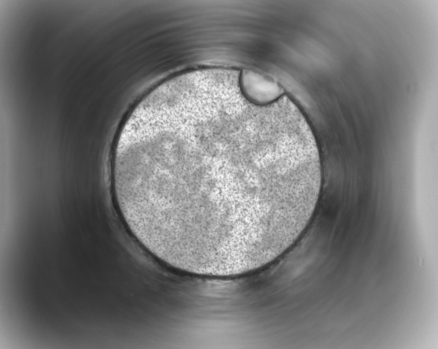 X0000088420848200706051210