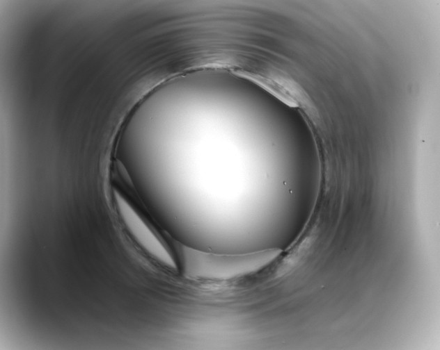 X0000088420850200706051210