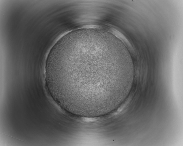 X0000088420852200706051210