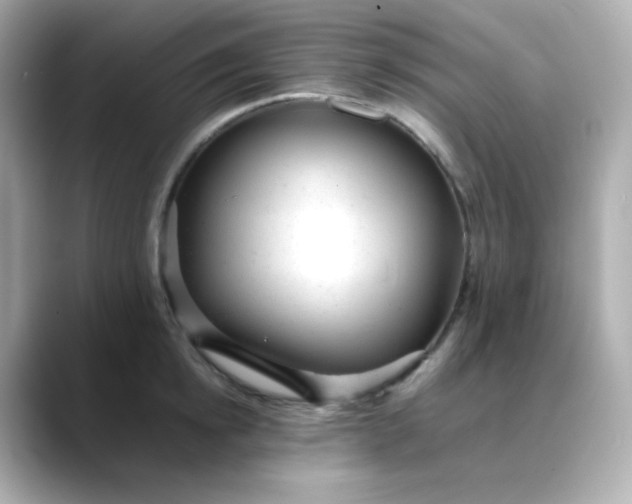 X0000088420854200706051210