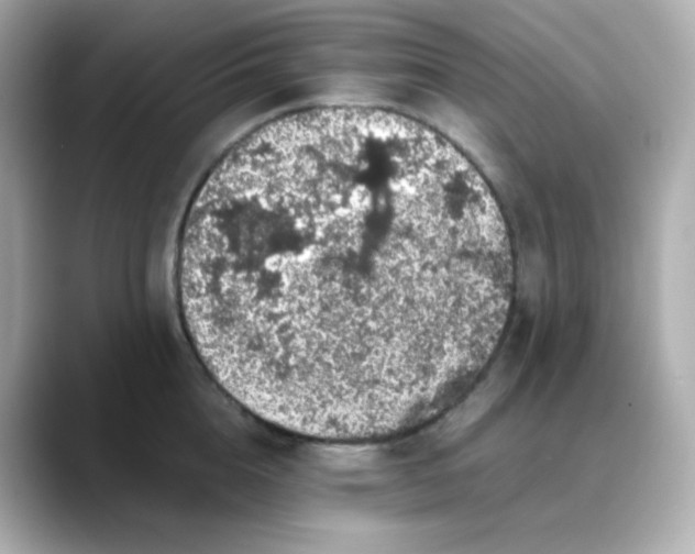 X0000088420856200706051210