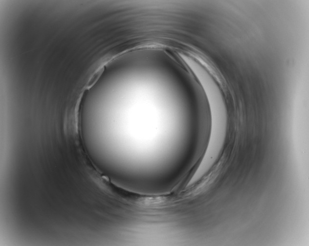 X0000088420858200706051210
