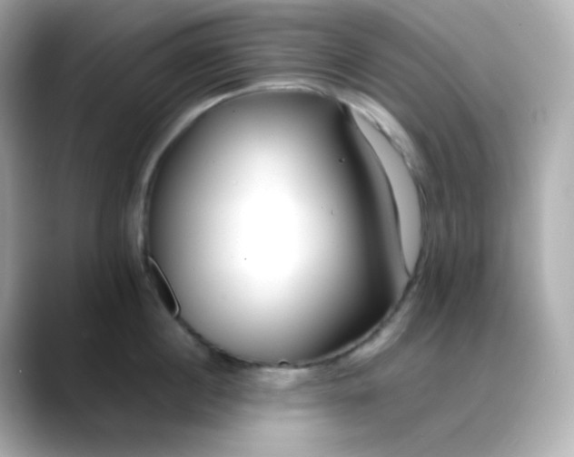 X0000088420860200706051210