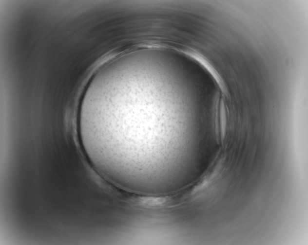 X0000088420861200706051210