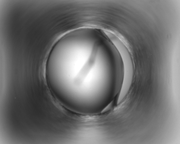 X0000088420862200706051210