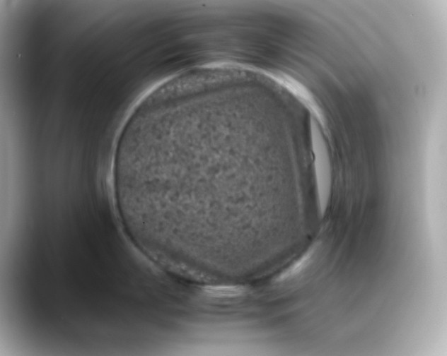 X0000088420863200706051210