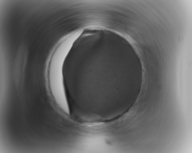 X0000088420864200706051210