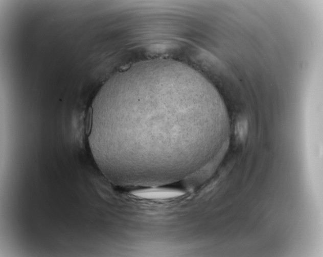 X0000088420868200706051210