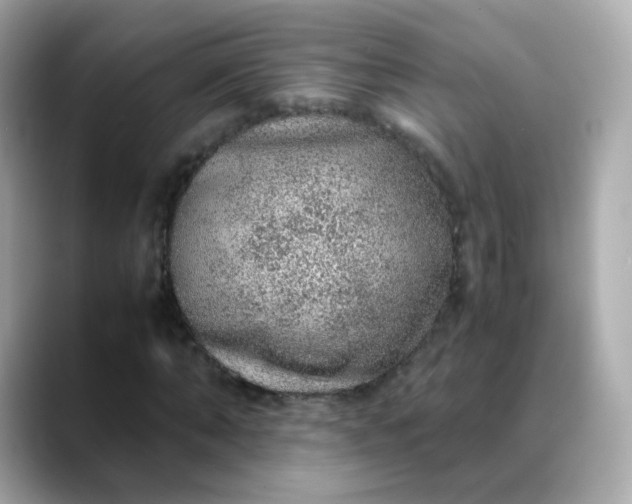 X0000088420870200706051210
