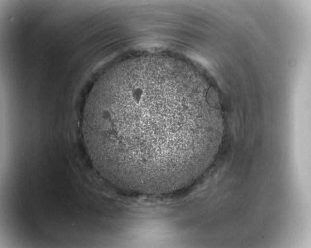 X0000088420871200706051210