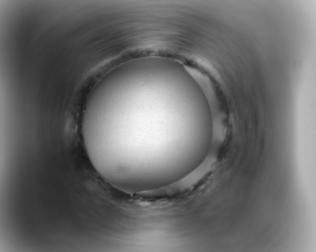 X0000088420872200706051210