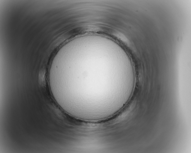 X0000088420873200706051210