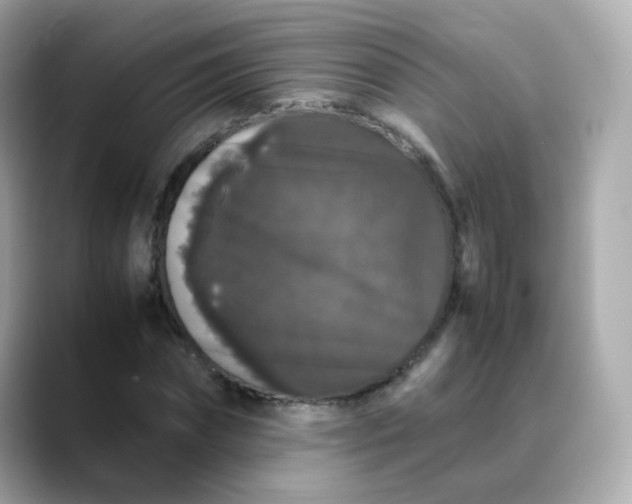 X0000088420874200706051210