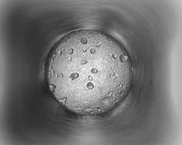 X0000088420875200706051210
