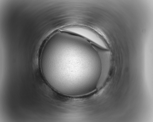 X0000088420877200706051210