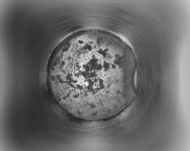 X0000088420879200706051210