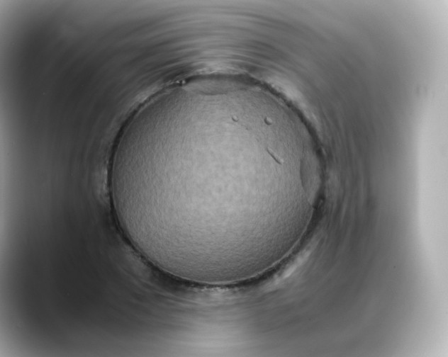 X0000088420881200706051210