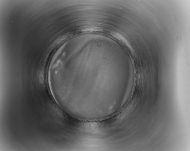 X0000088420882200706051210