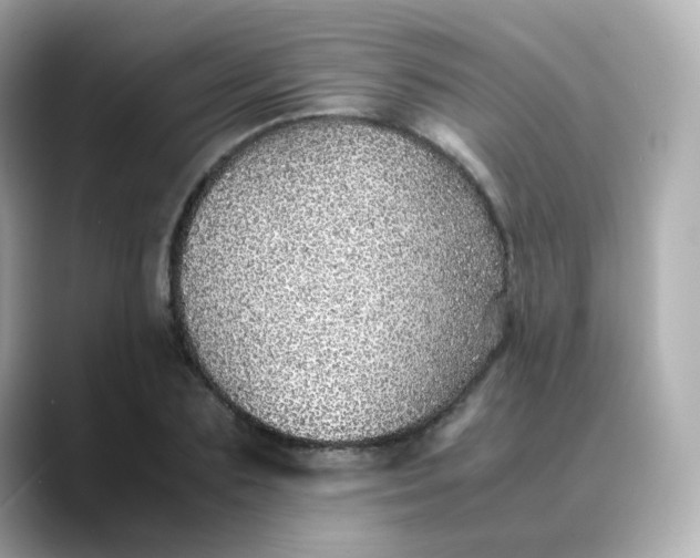 X0000088420883200706051209