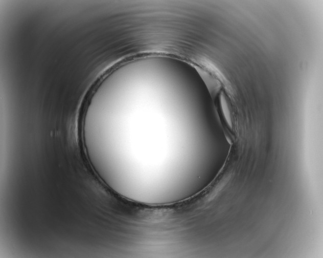X0000088420884200706051209