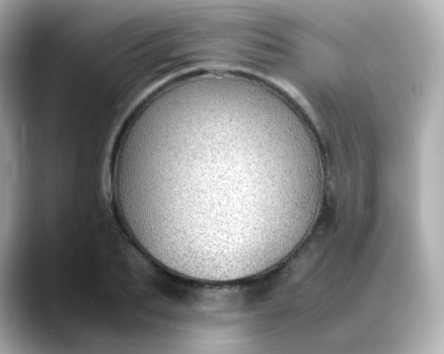 X0000088420887200706051209
