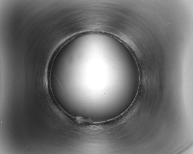 X0000088420888200706051209