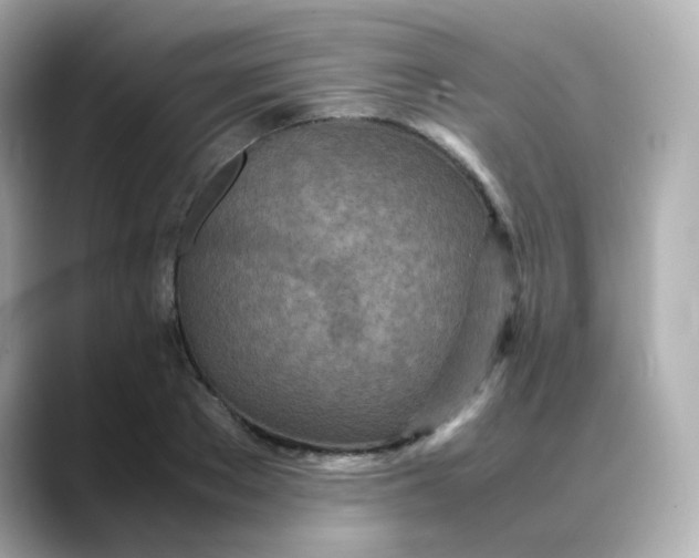 X0000088420889200706051209