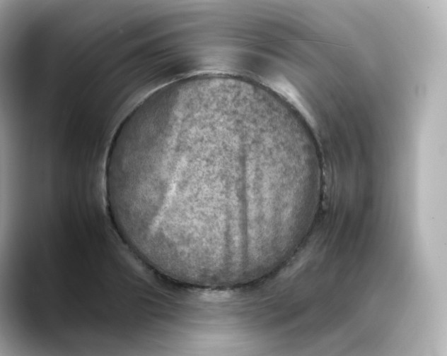X0000088420890200706051209