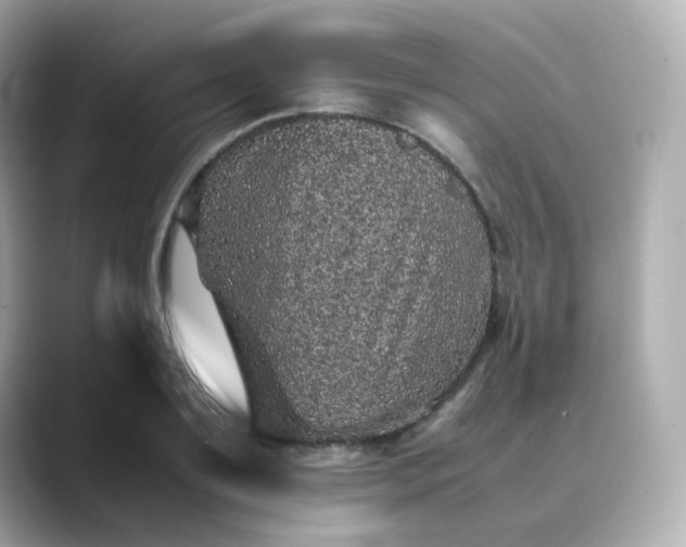X0000088420891200706051209
