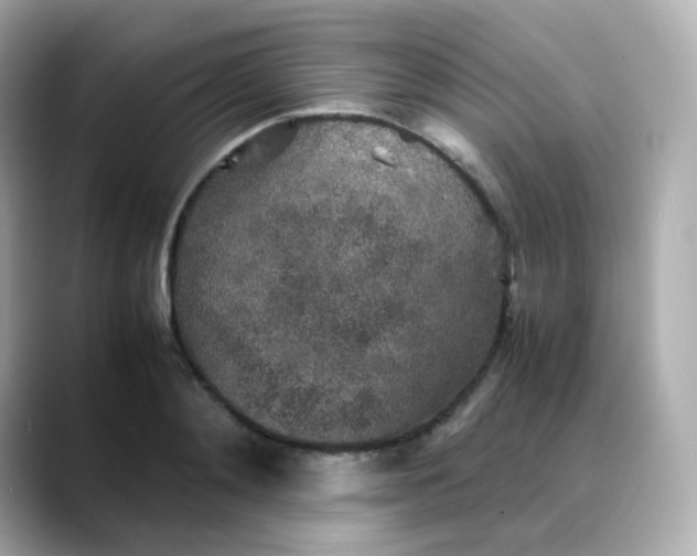 X0000088420892200706051209