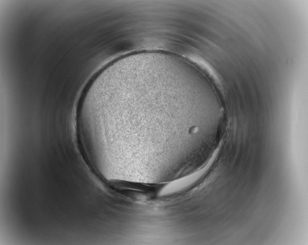 X0000088420894200706051209