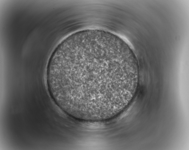 X0000088420895200706051209