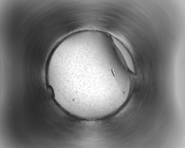 X0000088420896200706051209