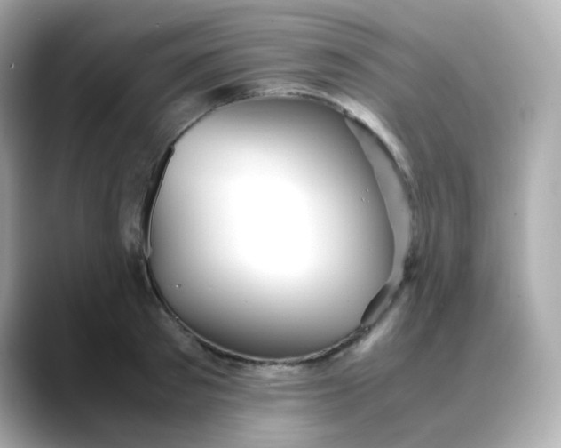 X0000088420897200706051209