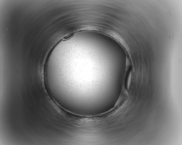 X0000088420898200706051209