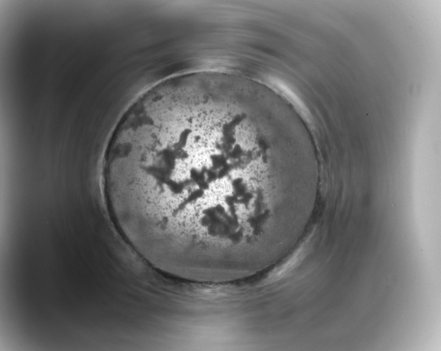 X0000088420899200706051209