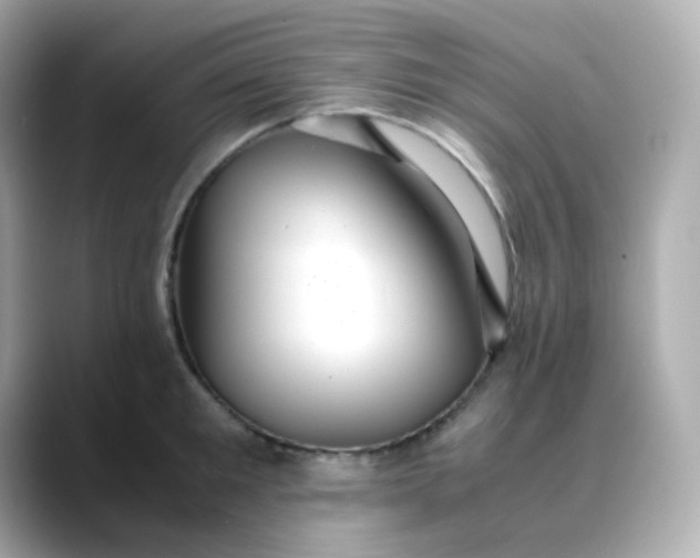 X0000088420901200706051209