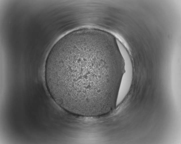 X0000088420903200706051209