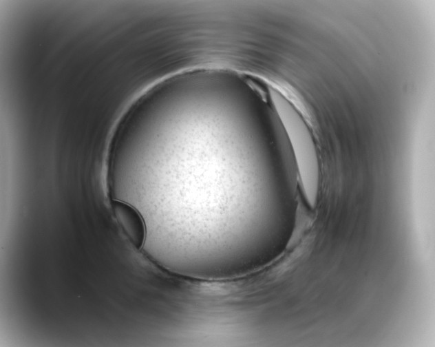 X0000088420904200706051209