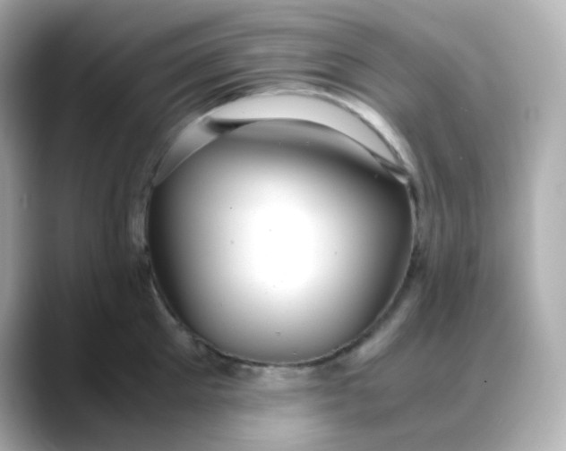 X0000088420905200706051209