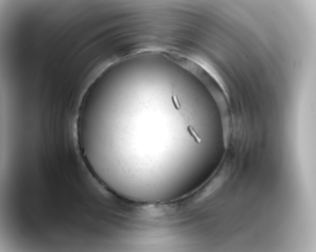 X0000088420906200706051209
