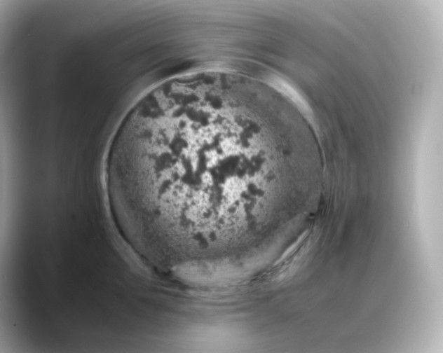 X0000088420907200706051209