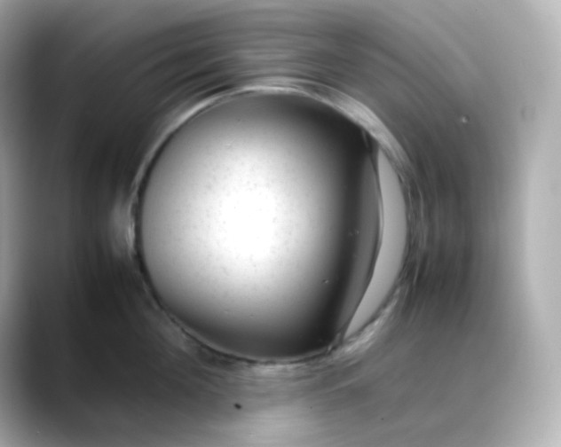 X0000088420908200706051209