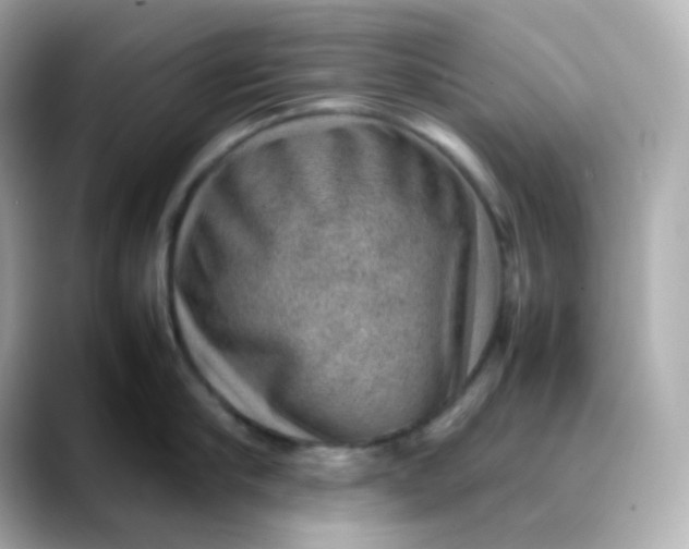 X0000088420910200706051209