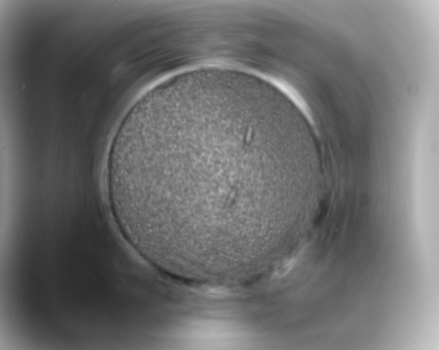 X0000088420911200706051209