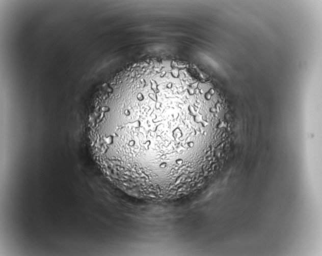 X0000088420917200706051209