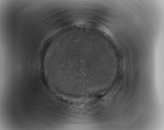 X0000088420919200706051209